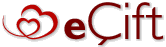 Ecift_logo_ongrey_new